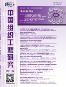 现代康复杂志